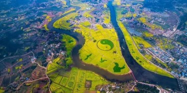 萬眾期待，重慶潼南萬畝油菜花海景區(qū)開放，畢加帶你去看花節(jié)！