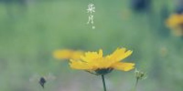 展覽設(shè)計(jì)公司與您共享：七月份國(guó)內(nèi)重要展會(huì)時(shí)間排期表