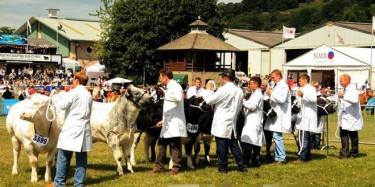 2014年國際著名家禽畜牧業(yè)展覽會時間排期表