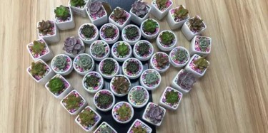 今天，你們是我的女神