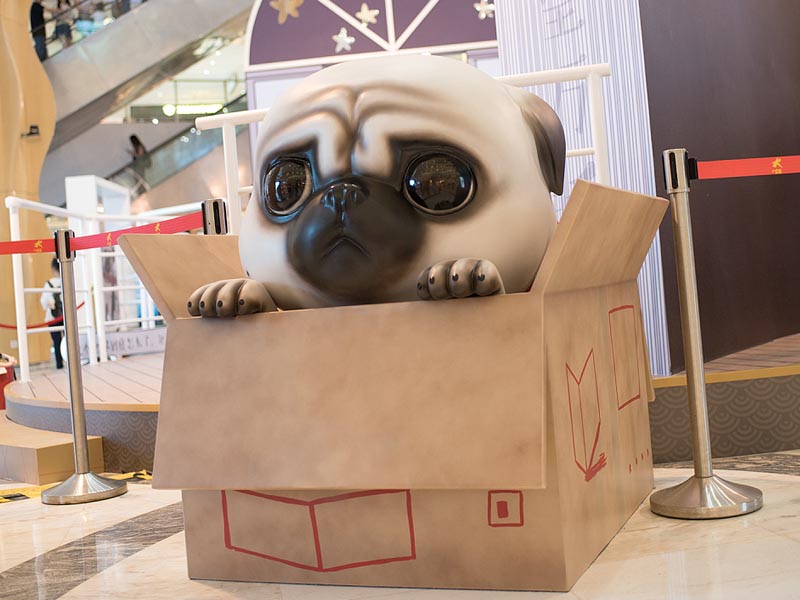 吾皇萬睡—快閃店搭建 吾皇萬睡—快閃店搭建